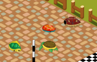 Tortuga Racing Game